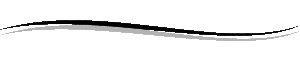 line 300x60 1