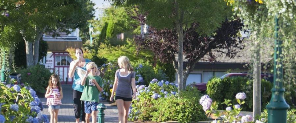 Get to Know Your Options