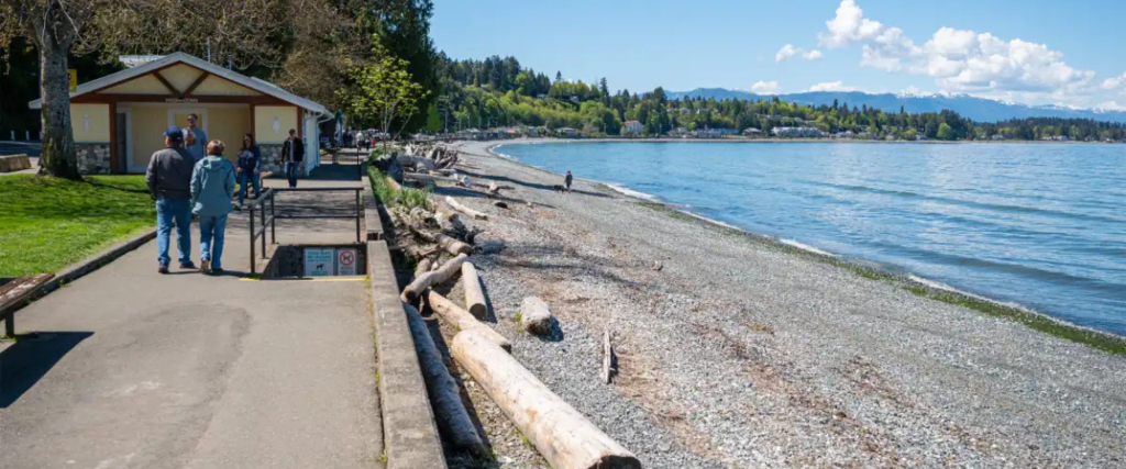 Sunday Drives Down the Coastal Highway