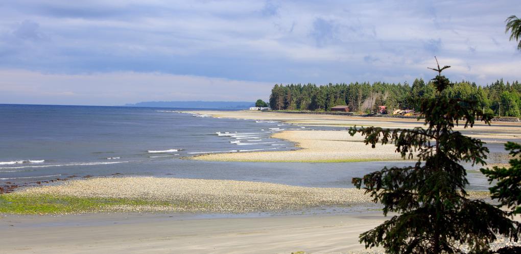 6bd1cfc3 city 51372 16b6c0ba8b7